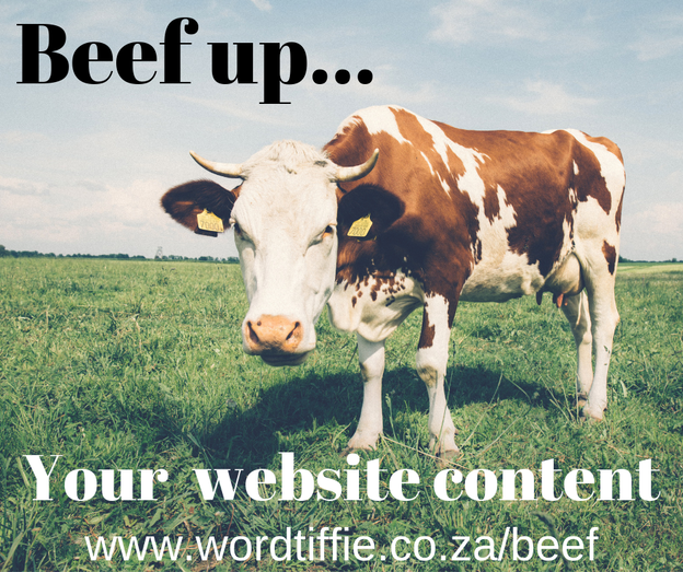 Beef up your company website with fresh, professionally written contentPicture